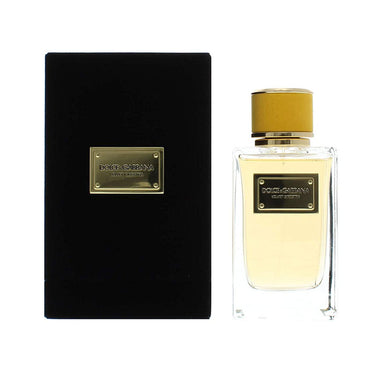 Dolce & Gabbana Velvet Ginestra