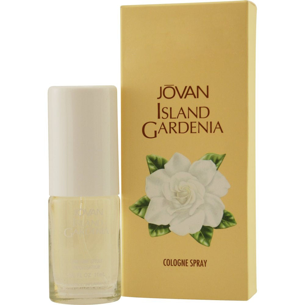 Island Gardenia